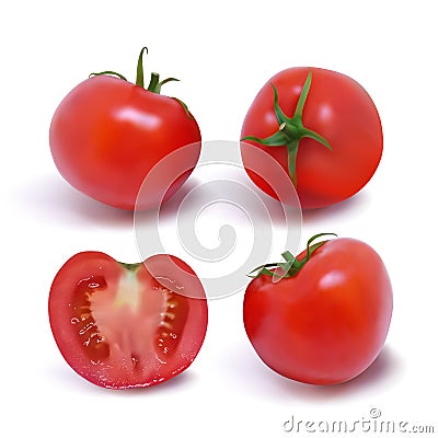 Four ripe red tomatoes. Photo-realistic vector illustration Vector Illustration