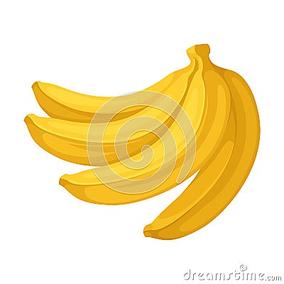 Four bananas in a bunch. Vector illustration on a white background. Vector Illustration