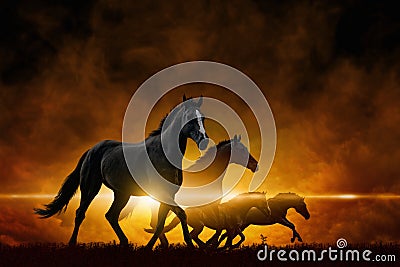 Four running black horses Stock Photo