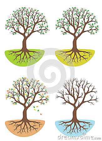 Four season tree Vector Illustration