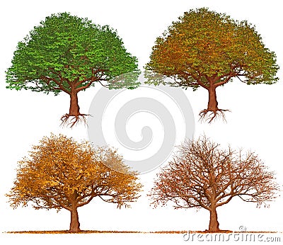 Four season trees isolated on white background Cartoon Illustration