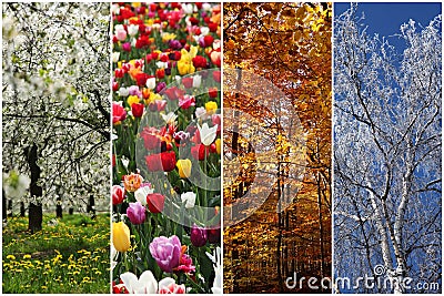 Four seasons Stock Photo