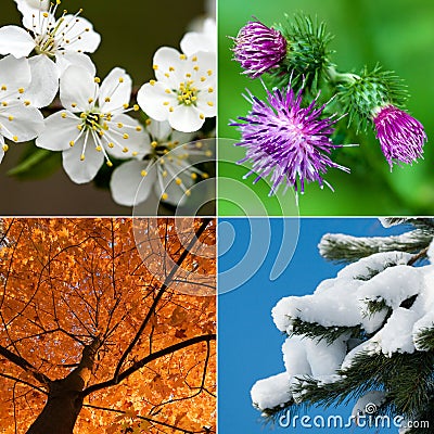 Four seasons Stock Photo