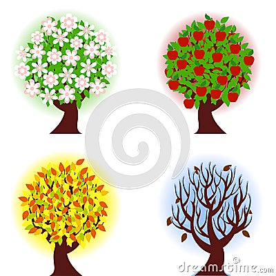 Four seasons of apple tree. Vector Illustration