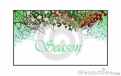 Four seasons.Apple tree,all year round. Stock Photo