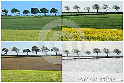 Four seasons collage Stock Photo