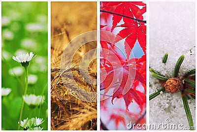 Four seasons collage Stock Photo