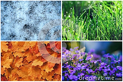 Four seasons collage: Winter, Spring, Summer, Autumn. Blue snowflakes, green grass, orange leaves, purple flowers Stock Photo