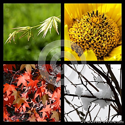 Four seasons in nature Stock Photo