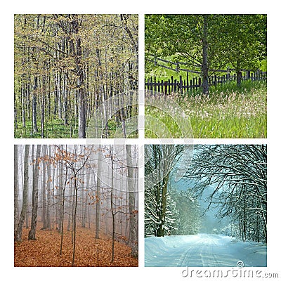 Four Seasons Nature Collage Stock Photo