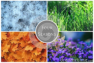 Four seasons nature collage: Winter, Spring, Summer, Autumn Stock Photo