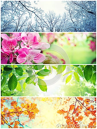 Four seasons. A pictures that shows four different pictures representing the four seasons Stock Photo