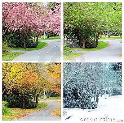 Four seasons of the same street Stock Photo