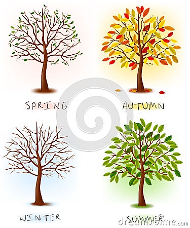 Four seasons - spring, summer, autumn, winter. Vector Illustration