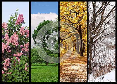 Four seasons spring, summer, autumn, winter Stock Photo