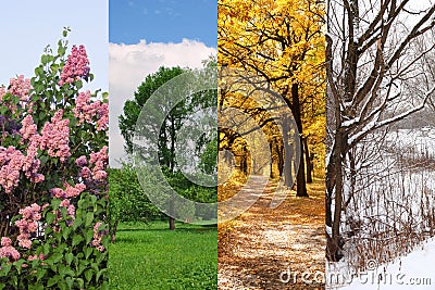 Four seasons spring, summer, autumn, winter Stock Photo