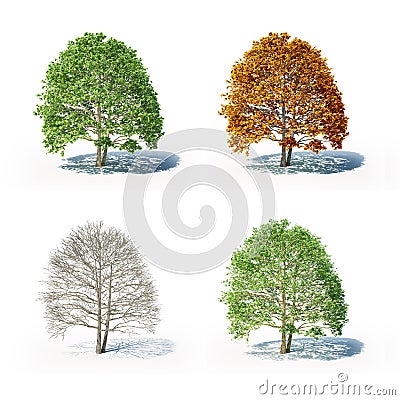 The four seasons Stock Photo