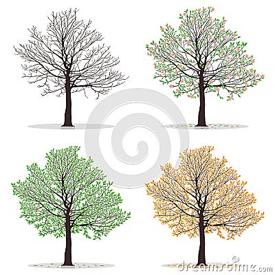 Four seasons trees Vector Illustration