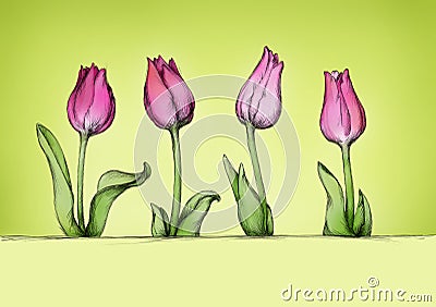 Four simple tulips in pink Stock Photo