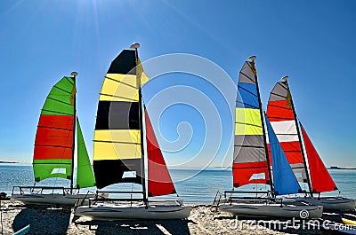 Four Small Catamarans with Brightly Colored Sails on a Key Biscayne Beach Stock Photo