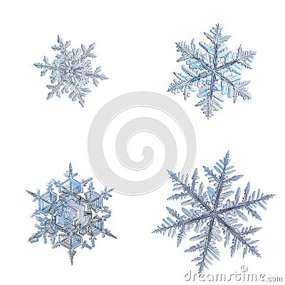 Four snowflakes isolated on white background Stock Photo