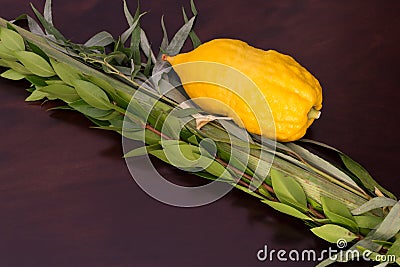 The four species for Sukkot holiday Stock Photo