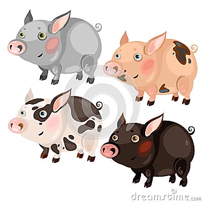 Four spotted cartoon pigs different colors Vector Illustration