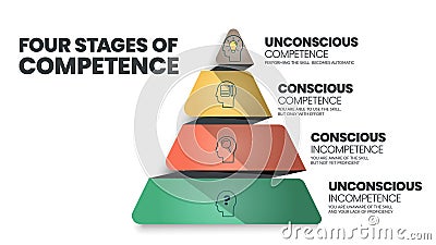 The four stages of competence or the conscious competence learning model, relates to the psychological states involved in the Vector Illustration