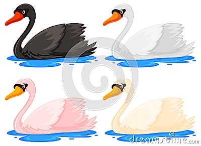 Four swans in different colours Vector Illustration