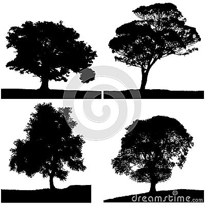 Four tree silhouette black & white colors. Stock Photo