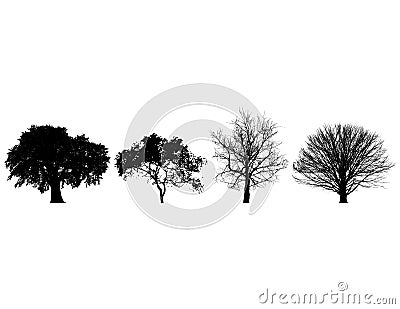 Four Trees Vector Illustration