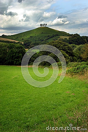 Four trees on a hill 2 Stock Photo
