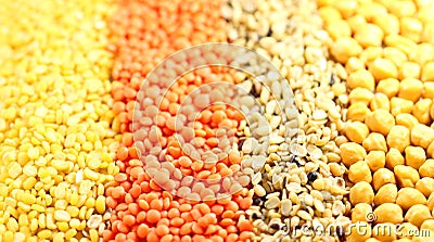 Four types of pulses Stock Photo