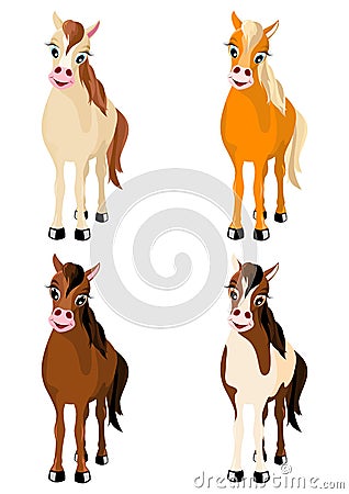 Four various horses Vector Illustration