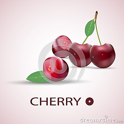 Four whole cherry berries with stem. Vector Illustration
