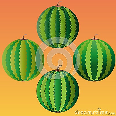 Four whole watermelon on an orange background Vector Illustration
