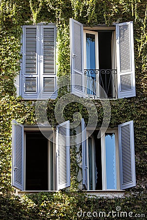 Four windows. Building facade entirely covered with ivy. Stock Photo