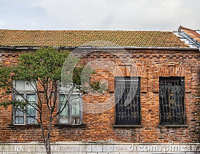 Four windows and tree Stock Photo