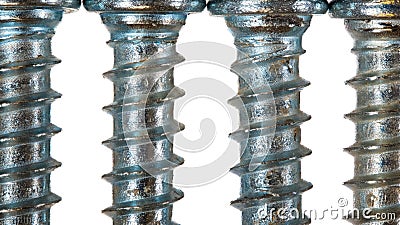 Four wood screws in a row against white background Stock Photo