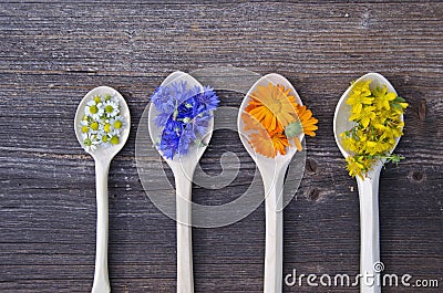 Four wooden spoons with various medical flowers Stock Photo