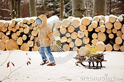Boy alone in the winter in the forest Stock Photo