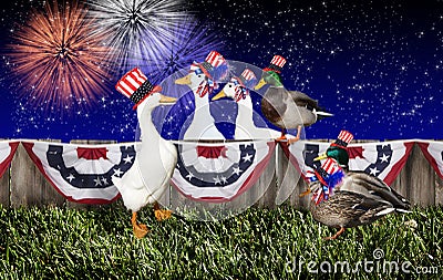 Fourth July Duck Party Stock Photo