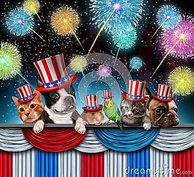 Fourth Of July Pet Celebration Cartoon Illustration
