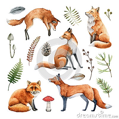 Fox animal watercolor illustration set. Wild cute fox sit and stand elements. Forest animal and herb collection. White Cartoon Illustration