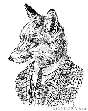 Fox dressed up in Suit. Aristocrat or old gentleman. Fashion Animal character in office style. Hand drawn Vector Illustration