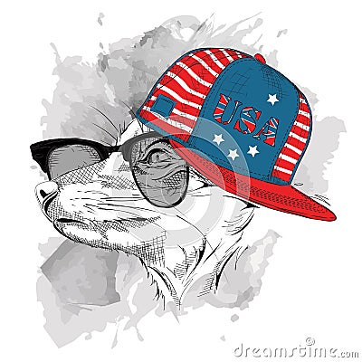 Fox in the glasses, headphones and hip-hop hat with print of USA. Vector illustration. Vector Illustration