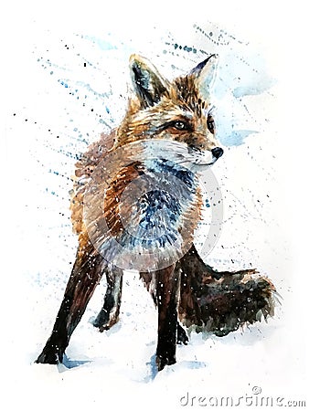 Fox predator watercolor painting drawing Stock Photo