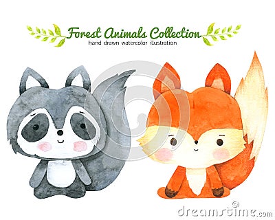 Fox and Raccoon Cartoon watercolor collection isolated on white background ,Forest Animal Hand drawn painted character for Kid Stock Photo