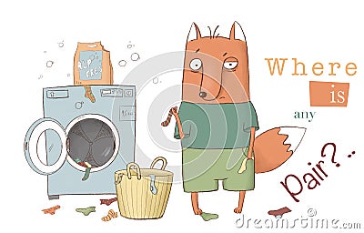 Fox is searching for pair of socks after washing Cartoon Illustration