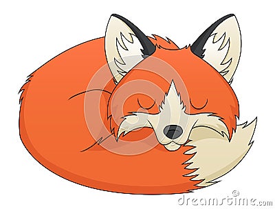 Fox Sleeping Vector Illustration